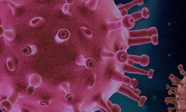 Virus Hibrida SAR-COV COVID19