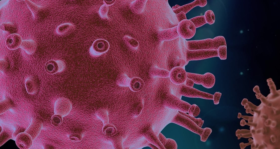 Virus Hibrida SAR-COV COVID19