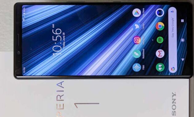 Sony Xperia 1 V